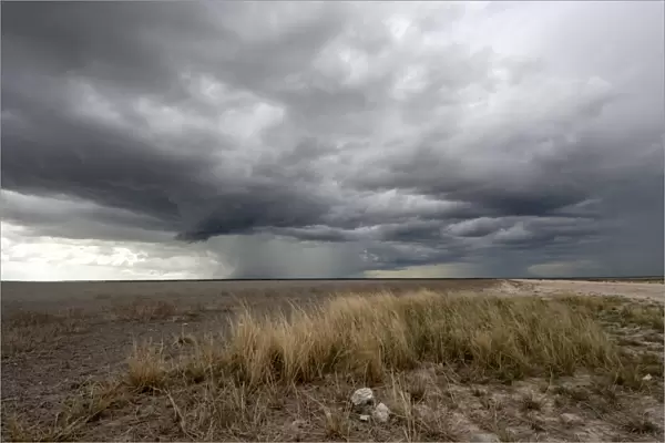 Threatening storm, Etosha National Park, Namibia, Africa