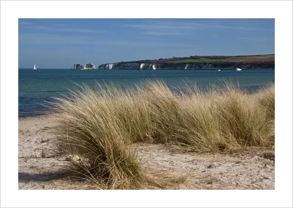 Studland Beach and The Foreland or Hardfast Point, showing Old Harry Rock