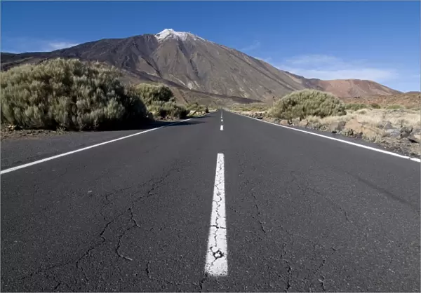 Road leading to El Teide volcano, Tenerife, Canary Islands, Spain, Europe