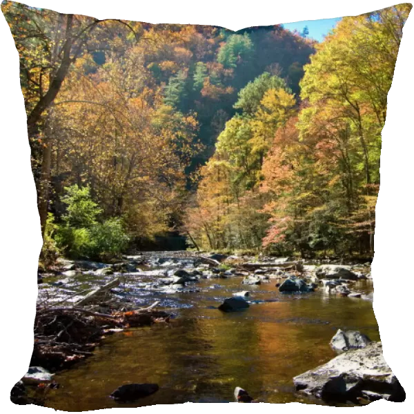River and colourful foliage in the Indian summer, Great Smoky Mountains National Park