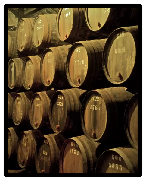 Port wine maturing in barrels in wine cellars, Vila Nova de Gaia, Porto, Portugal, Europe