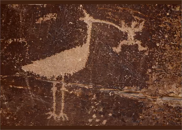 Bird petroglyph, Petrified Forest National Park, Arizona, United States of America