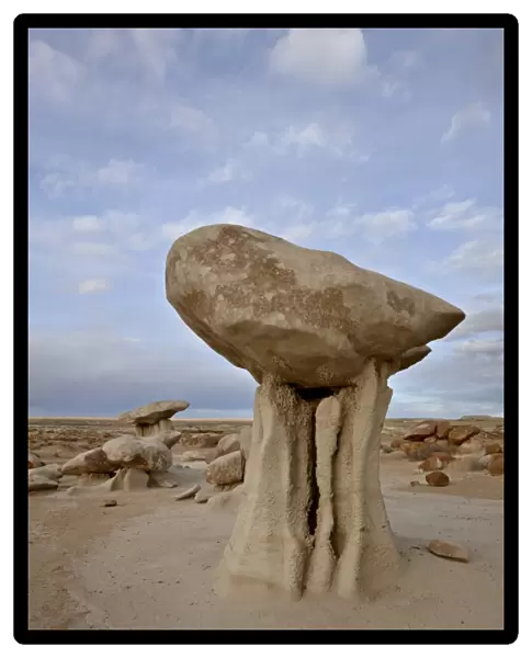 Mushroom-like hoodoo, Bisti Wilderness, New Mexico, United States of America