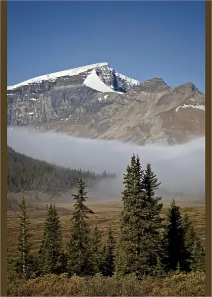 Fog in the Alpine valley, Jasper National Park, UNESCO World Heritage Site, Alberta, Canada, North America