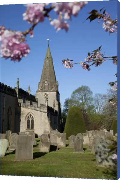 Baslow Parish Church and spring cherry blossom, Derbyshire, England, United Kingdom, Europe