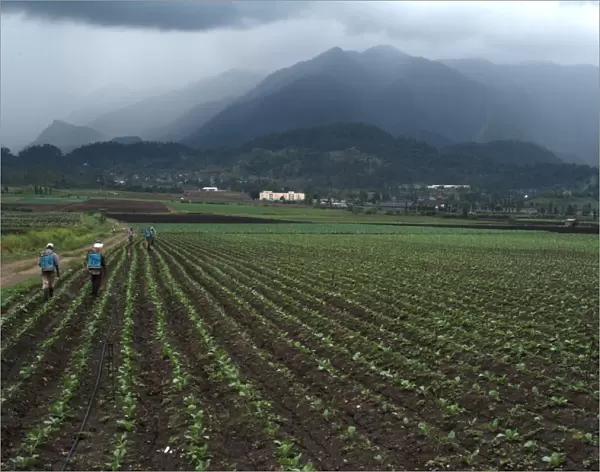 View of an agricultural valley near Constanza, Dominican Republic, Central America