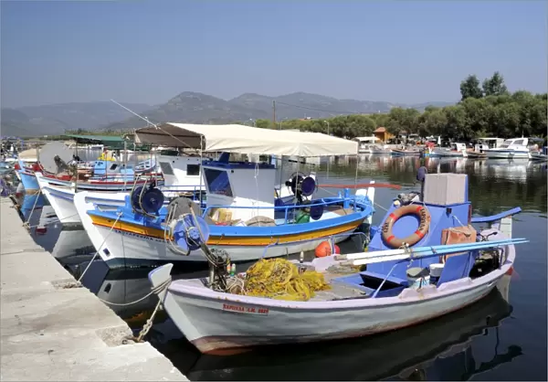Traditional wooden fishing boats moored in Skala Kalloni harbour, Lesbos (Lesvos), Greek Islands, Greece, Europe