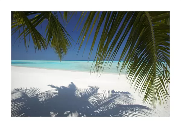 Tropical beach, Maldives, Indian Ocean, Asia