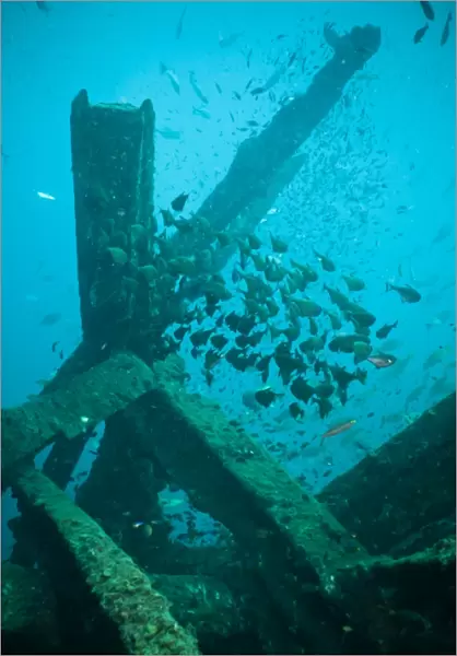 Wreck diving, Southern Thailand, Andaman Sea, Indian Ocean, Southeast Asia, Asia