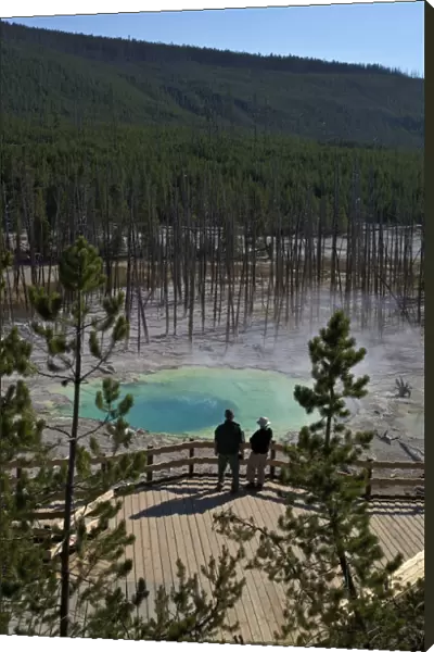 Visitors at Cistern Spring, Norris Geyser Basin, Yellowstone UNESCO World Heritage Site, Wyoming, United States of America, North America