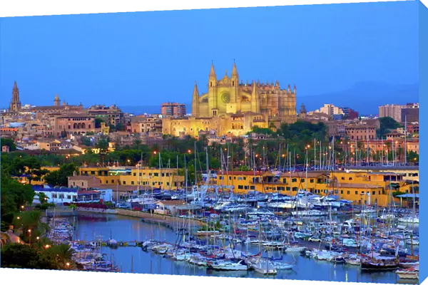 Cathedral and Harbour, Palma, Mallorca, Spain, Europe