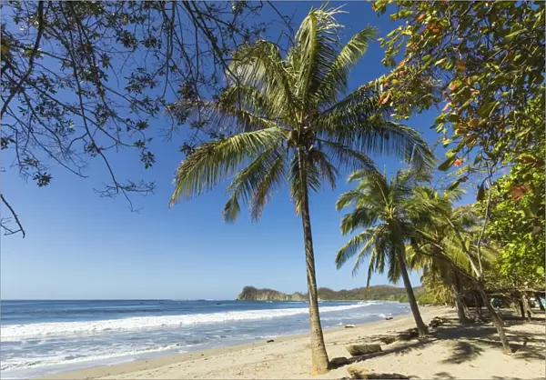The white sand palm-fringed beach at this laid-back village and resort, Samara, Nicoya Peninsula, Guanacaste Province, Costa Rica, Central America