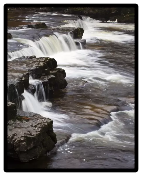 Redmire Force on the River Ure, Wensleydale, Yorkshire Dales, Yorkshire, England, United Kingdom, Europe