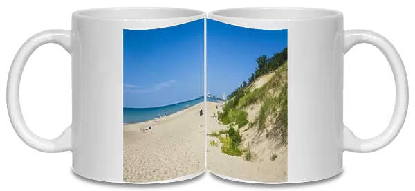Indiana sand dunes, Indiana, United States of America, North America