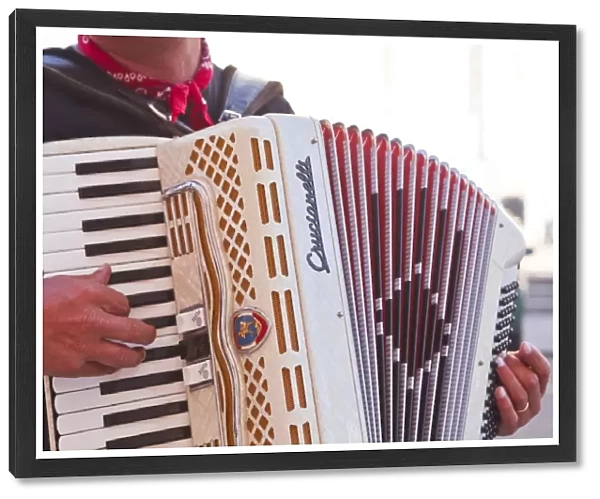 A street musician plays the accordion, Lyon, Rhone, Rhone-Alpes, France, Europe