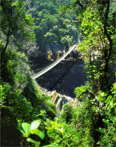 Footbrige Over Storms River, Tsitsikamma National Park, South Africa