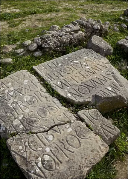 Carving on stone at the Roman archaeological site, Volubilis, UNESCO World Heritage Site, Meknes Region, Morocco, North Africa, Africa
