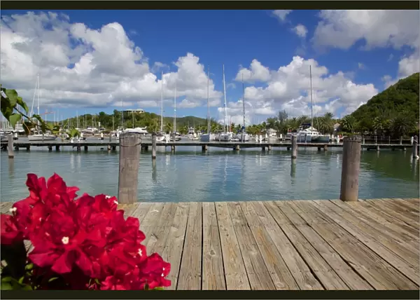 Jolly Harbour, St. Mary, Antigua, Leeward Islands, West Indies, Caribbean, Central America
