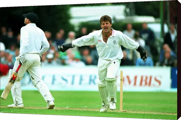 Worcestershire keeper Steven Rhodes during the 1995 B&H semi-final