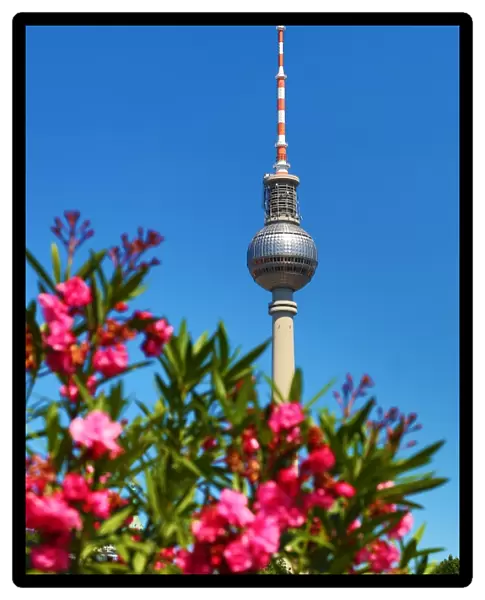 Berlin TV Tower, Fernsehturm, television tower and flowers in spring in Berlin, Germany