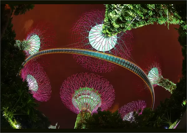 Futuristic Supertrees Grove, Gardens by the Bay, Singapore