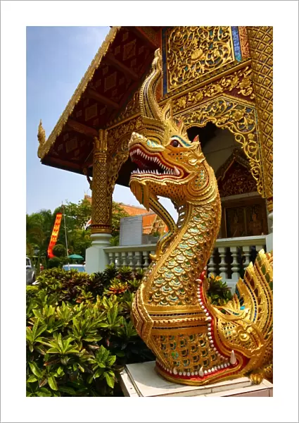Gold Naga statue at Wat Phra Singh Temple in Chiang Mai, Thailand