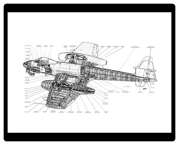 Gloster Meteor Mk8 Cutaway Drawing