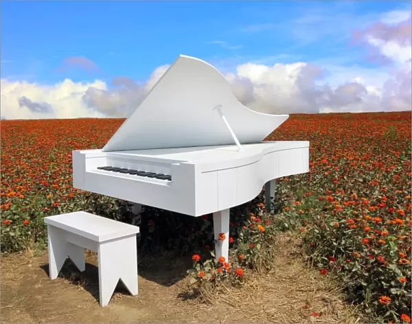 Grand piano in zinnia field