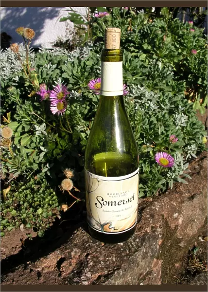Somerset, English wine