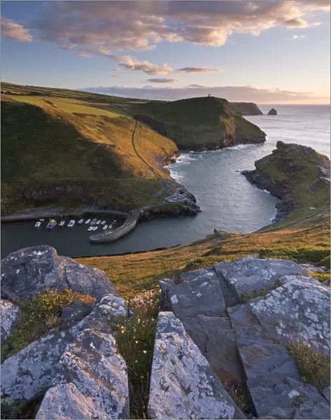 Boscastle Harbour from the coast path, Cornwall, England. Summer (August)