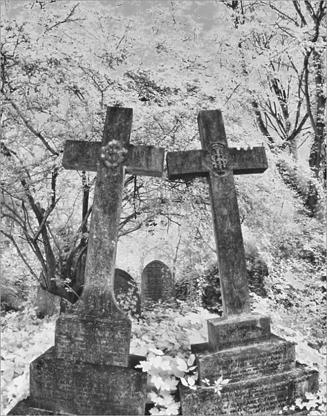 Infrared image of the graves in Highgate Cemetery, London, UK