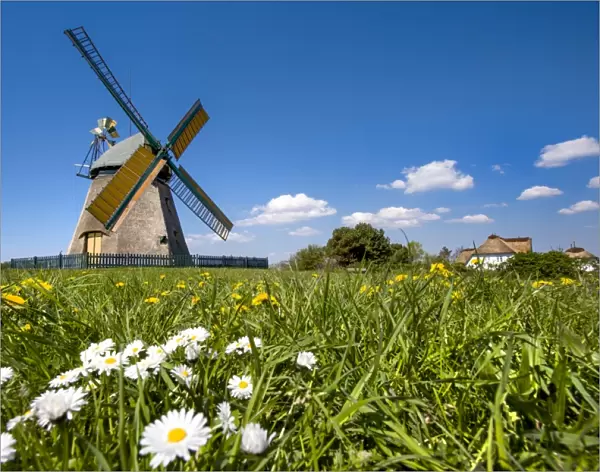 Windmill, Nebel, Amrum Island, Northern Frisia, Schleswig-Holstein, Germany