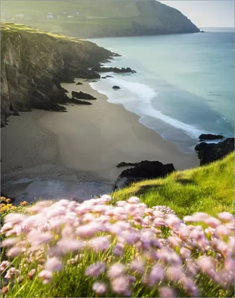 Slea Head, Dingle peninsula, County Kerry, Munster province, Ireland, Europe