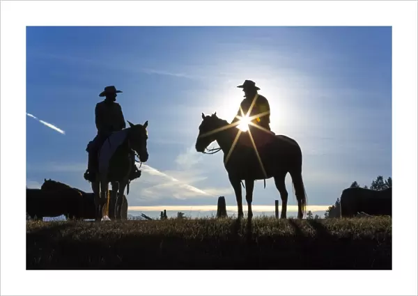 Cowboys on horses, sunrise, British Columbia, Canada
