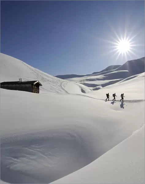 Snowshoe, Rosswildalm, Tristkopf, Kelchsau, Tyrol, Austria, (MR)