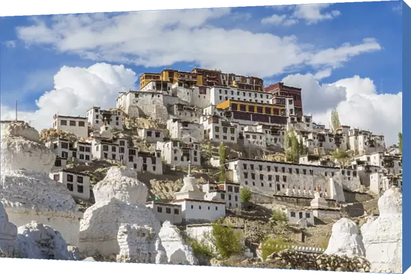 Thikse monastery, Thikse nr Leh, Ladakh, India
