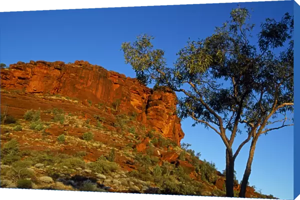 Australia, Northern Territory, Finke Gorge National Park