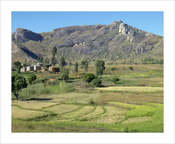 Rice paddies and a Betsileo hamlet near Ambalavao