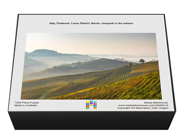 Italy, Piedmont, Cuneo District, Barolo, vineyards in the autumn