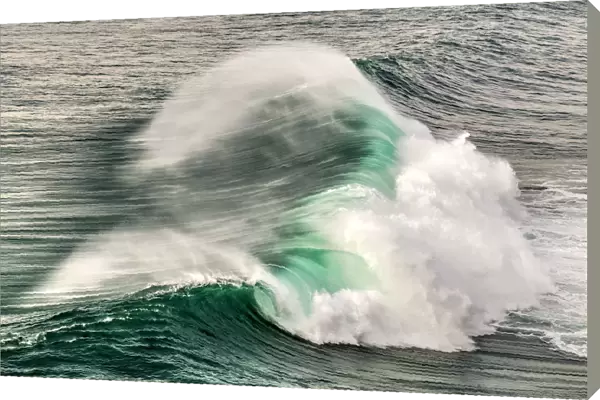 Breaking wave, Praia do Norte, Nazare, Centro, Portugal