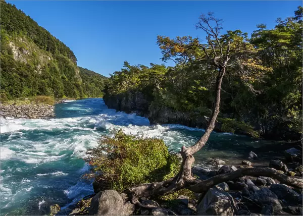 Petrohue River, Petrohue, Llanquihue Province, Los Lagos Region, Chile