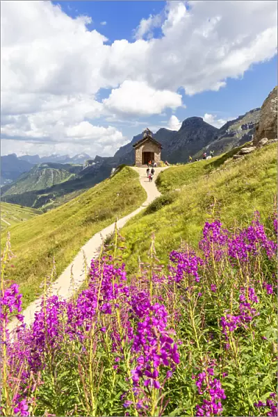 Flowering at Pordoi Pass Chapel. Pordoi Pass, Fassa Valley, Trentino, Dolomites, Italy