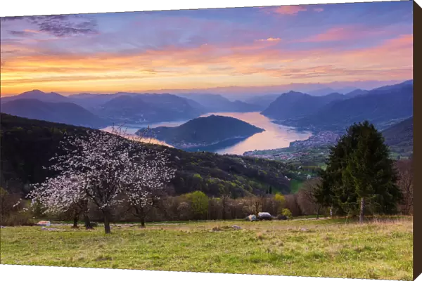 Iseo lake at sunset, Brescia province, Lombardy, Italy
