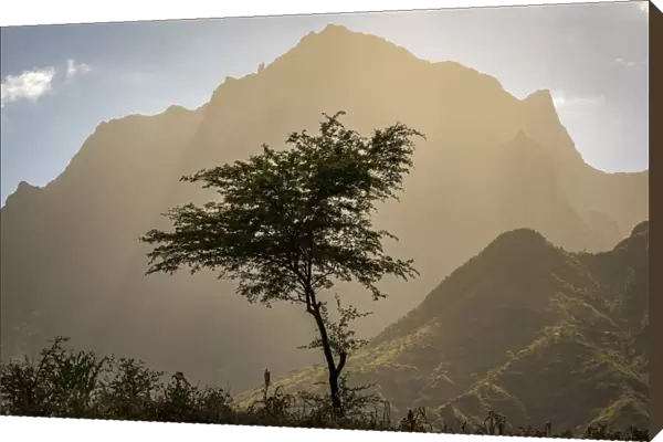 africa, Cape Verde, Santiago. View of the Pico da Antonia