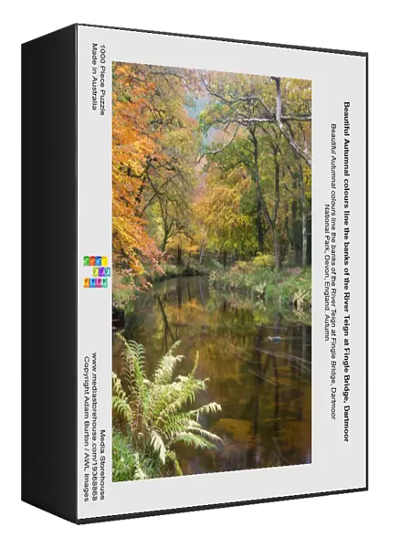 Beautiful Autumnal colours line the banks of the River Teign at Fingle Bridge, Dartmoor