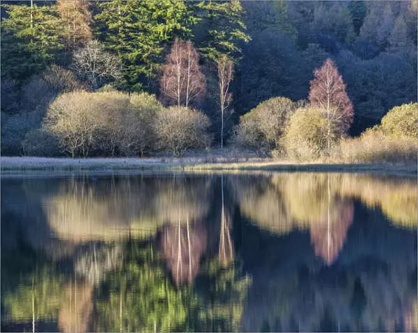 Yew Tree Tarn Reflections, Lake District National Park, Cumbria, England