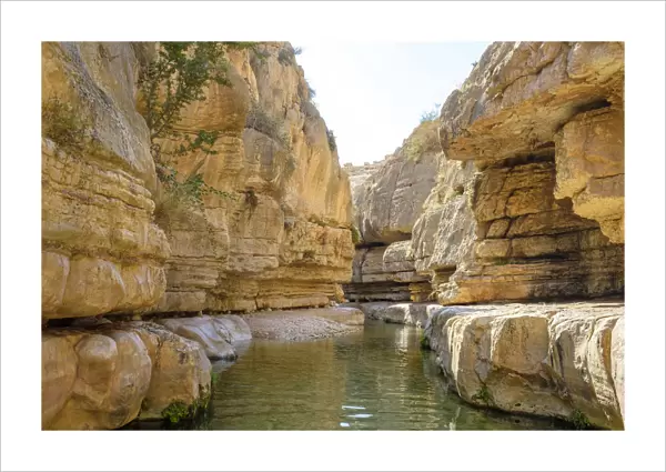 Palestine, West Bank, Jericho. Ein Quelt spring and freshwater pools within the Wadi