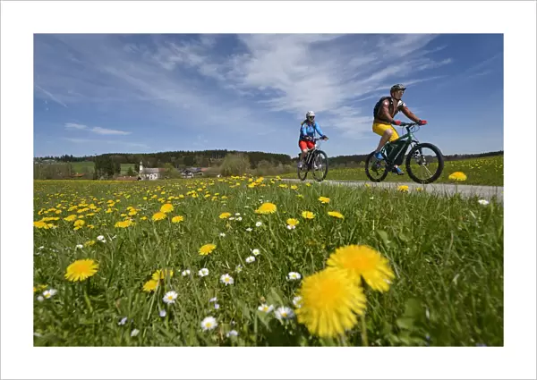 Electric cyclists at Ischl, Chiemgau, Upper Bavaria, Bavaria, Germany, Europe, MR