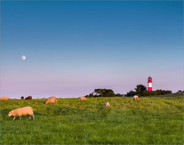Full moon over lighthouse, Falshaoft, Baltic coast, Schleswig-Holstein, Germany