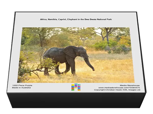 Africa, Namibia, Caprivi, Elephant in the Bwa Bwata National Park